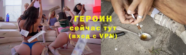 spice Богородицк