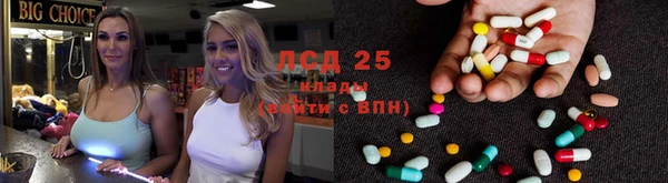 гашик Богданович