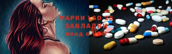 гашик Богданович