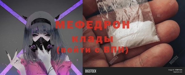 spice Богородицк