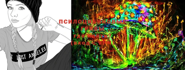 гашик Богданович