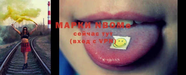 spice Богородицк