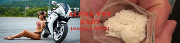 гашик Богданович