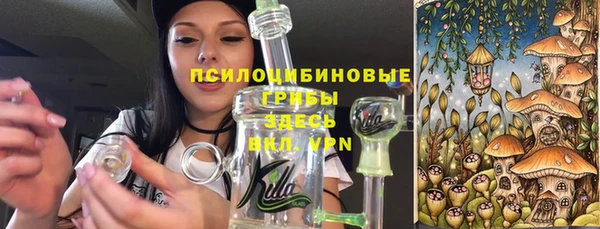spice Богородицк