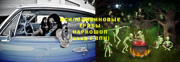 spice Богородицк