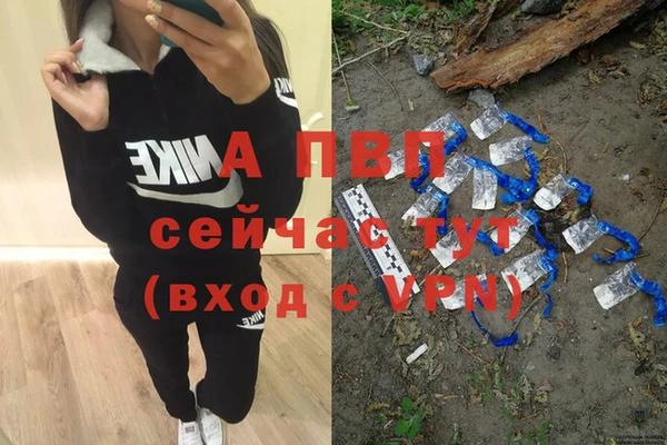 гашик Богданович