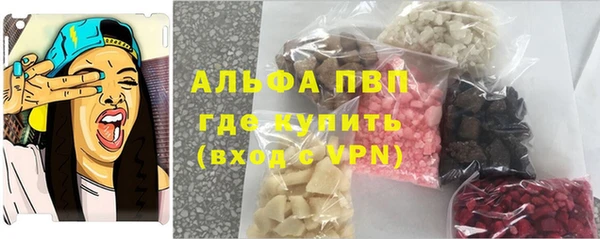 spice Богородицк