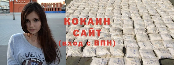 spice Богородицк