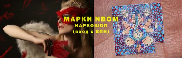 spice Богородицк