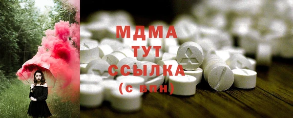 spice Богородицк